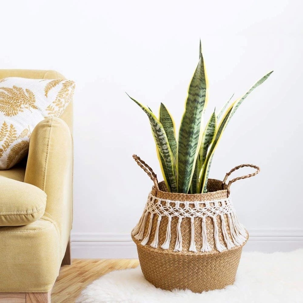 Panier en osier macramé