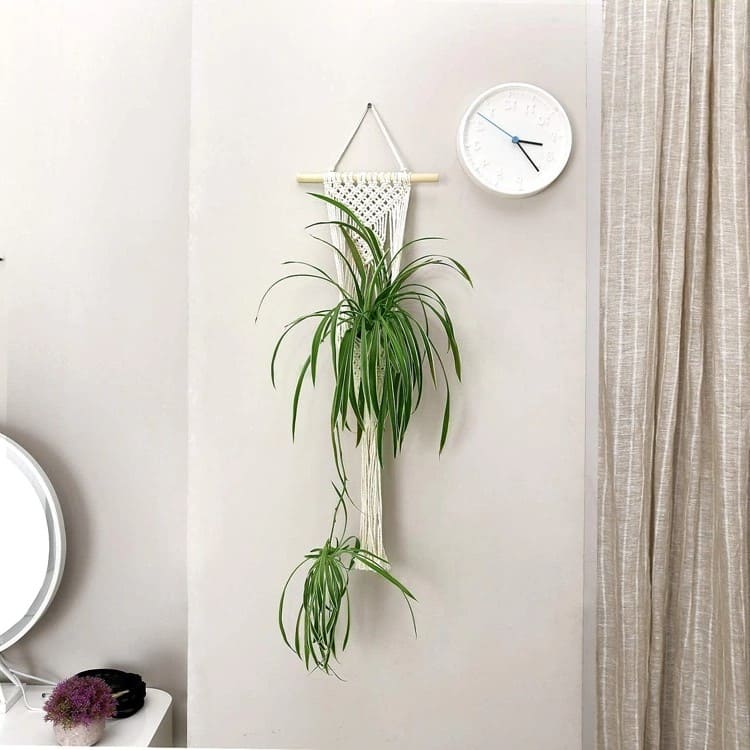 Porte-plante mural en macramé