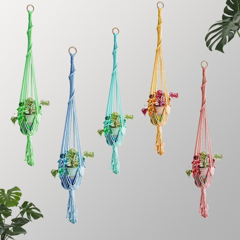 Suspension couleur plante macramé