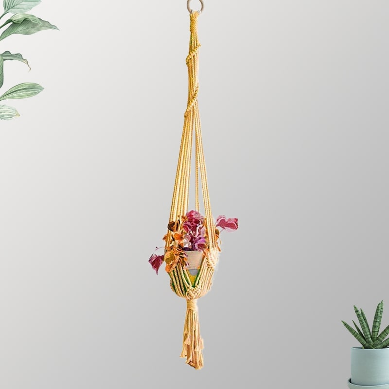 Suspension couleur plante macramé