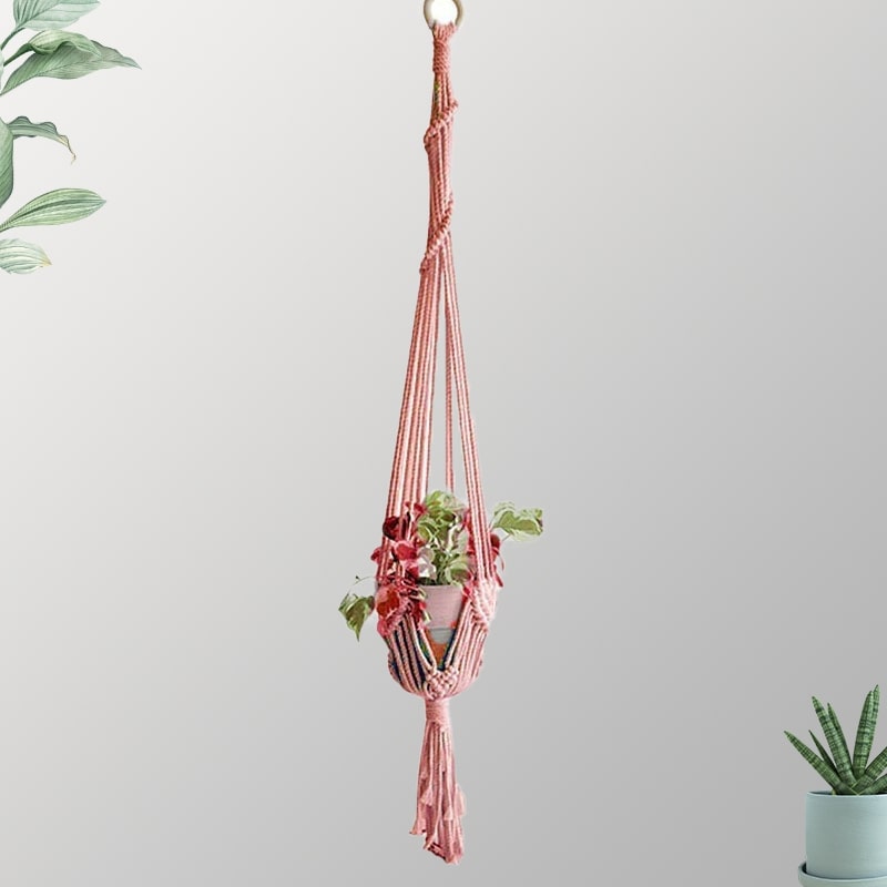 Suspension couleur plante macramé