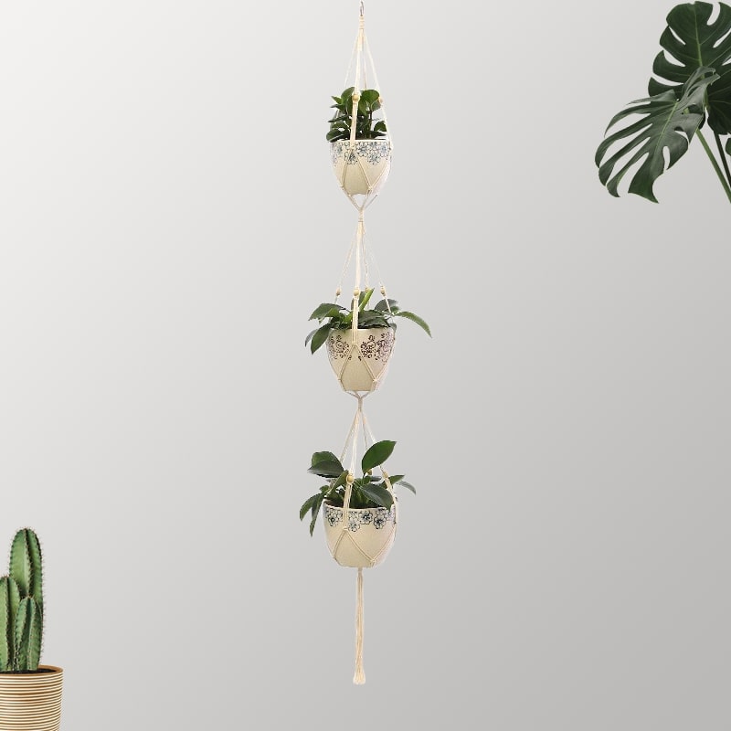 Suspension 3 plantes macramé