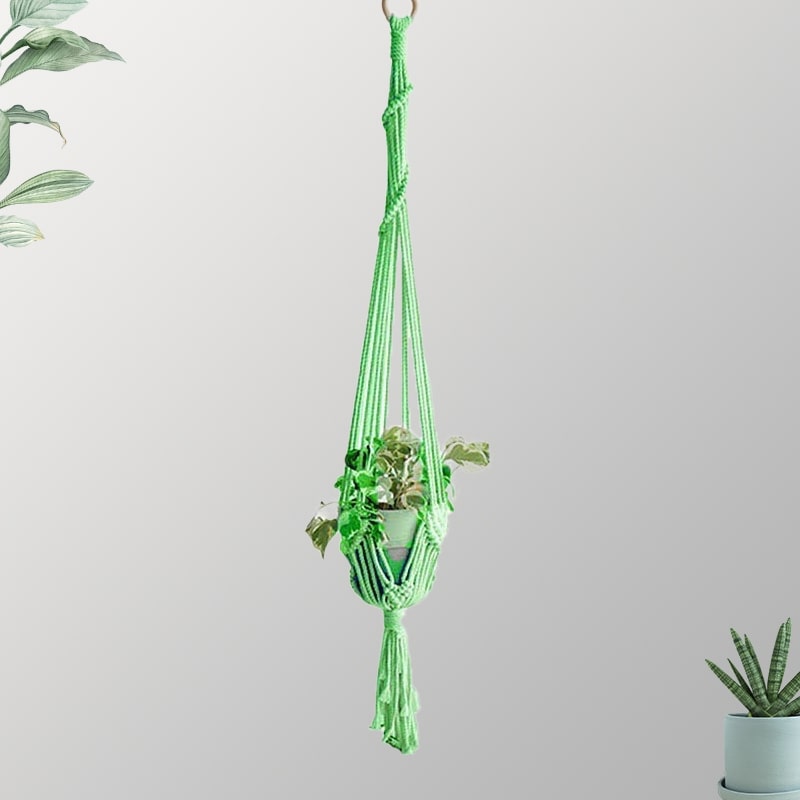 Suspension couleur plante macramé